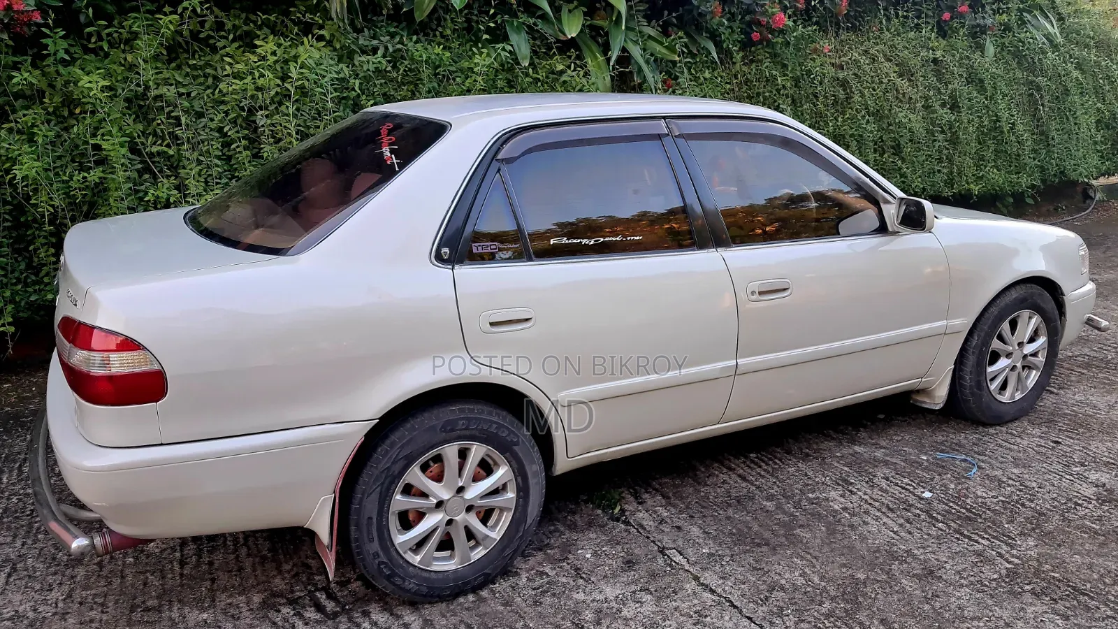 Toyota Corolla Sedan 1999 Pearl