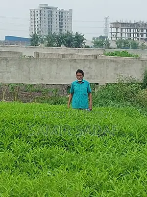 ডেমরা, মাহবুবুর রহমান মোল্লা কলেজ এর পিছনে ২.৫ কাঠার প্লট বিক্রয়