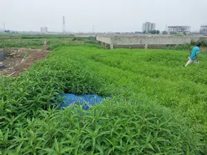ডেমরা, মাহবুবুর রহমান মোল্লা কলেজ এর পিছনে ২.৫ কাঠার প্লট বিক্রয়