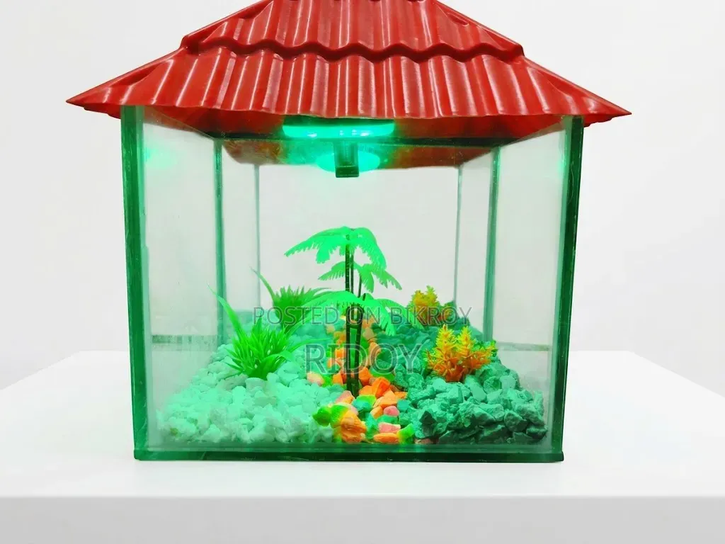 Small Aquarium