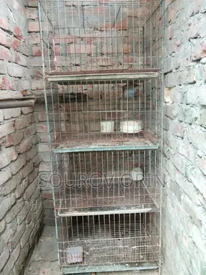 কবুতর খাঁচা