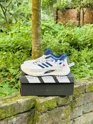 Adidas Waterproof Shoe