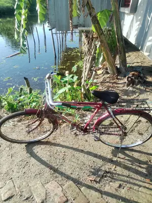 সম্পূর্ণ রানিং একটি ইন্ডিয়ান সাইকেল