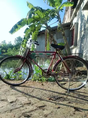 সম্পূর্ণ রানিং একটি ইন্ডিয়ান সাইকেল