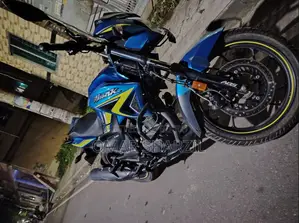 হিরো হাংক ২০২৪ ব্লু