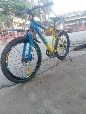 Will sell this bicycle.