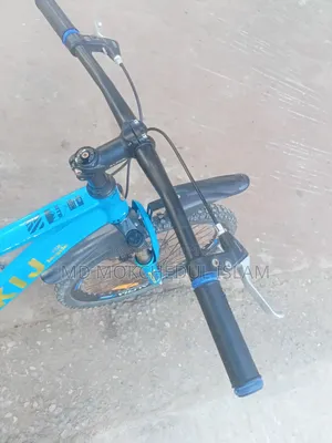 Will sell this bicycle.