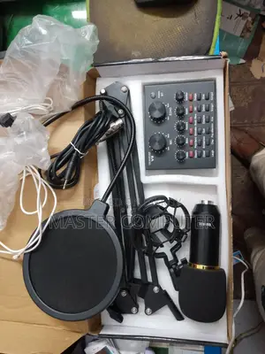 প্রফেশনাল মাইক্রোফোন