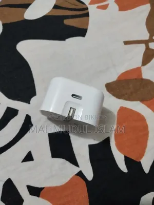 iPhone Original Charger