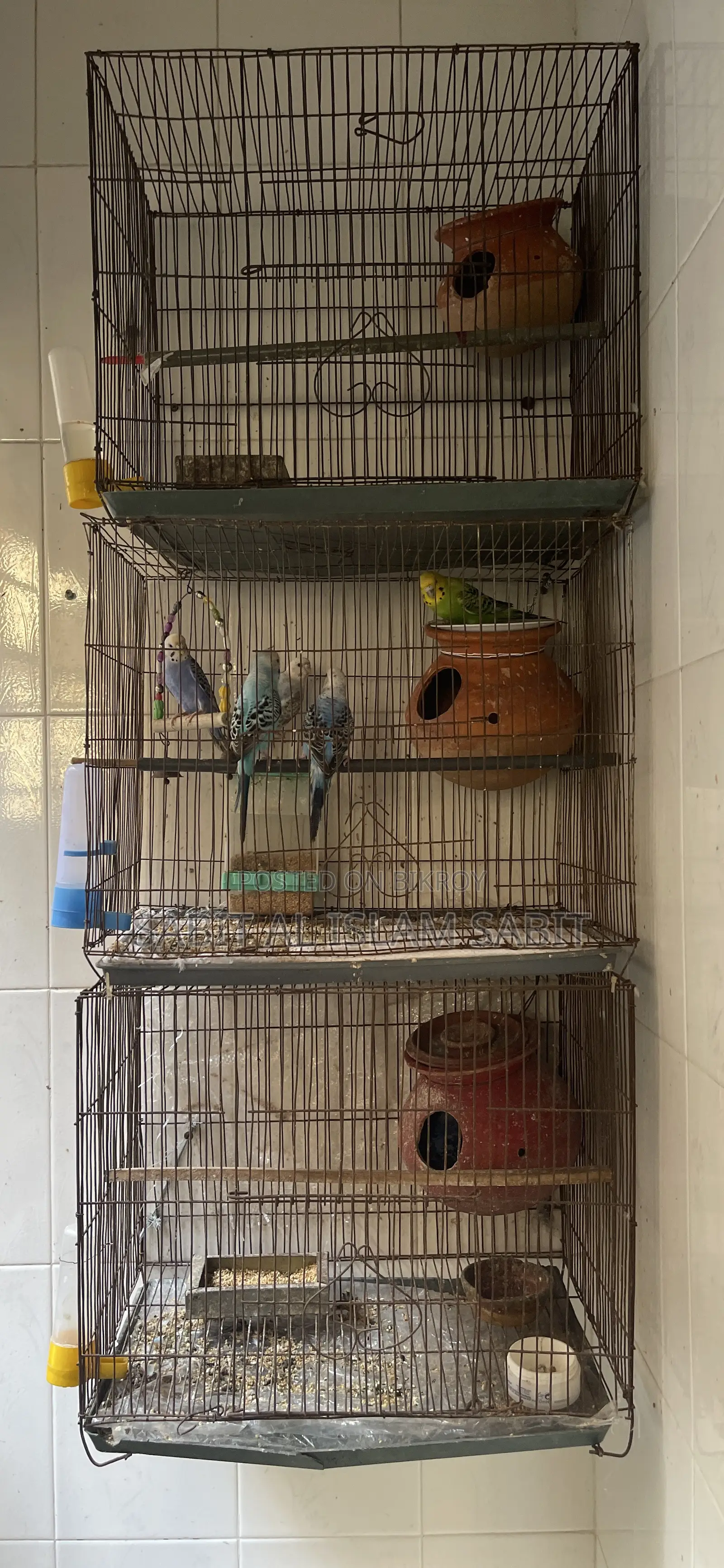 Bird Cage for Sell