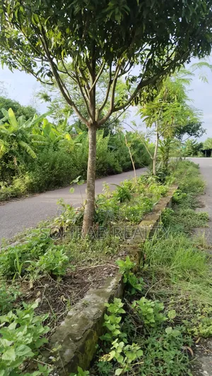 ৩ কাঠা উত্তরমুখী প্লট পূর্বাচল, সেক্টর#২৭