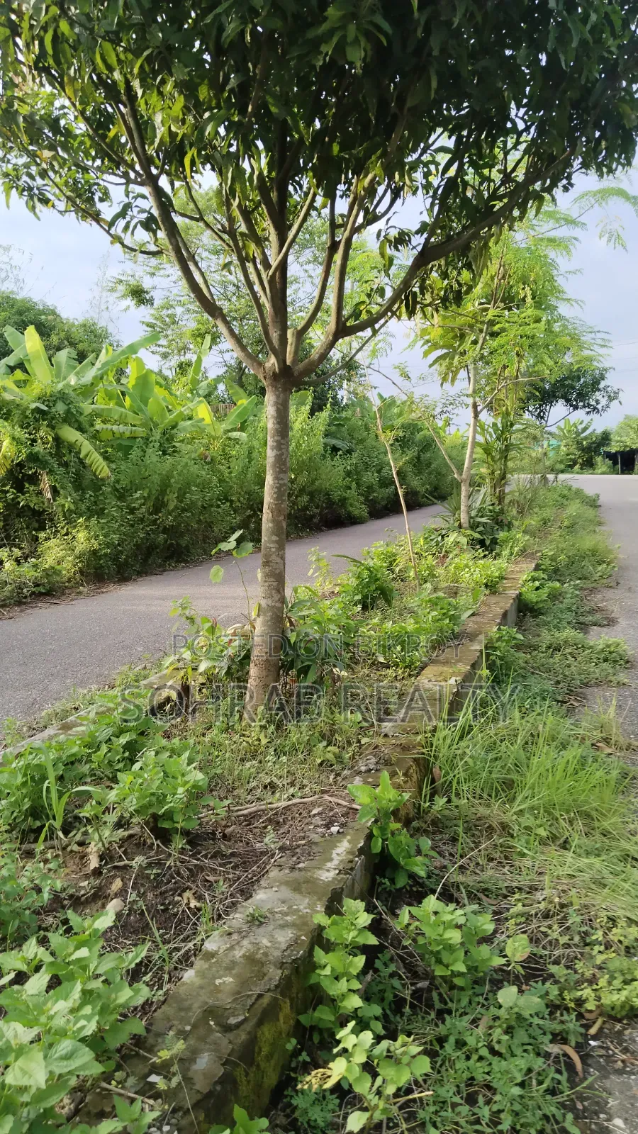 ৩ কাঠা উত্তরমুখী প্লট পূর্বাচল, সেক্টর#২৭