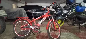 Avon Bicycle
