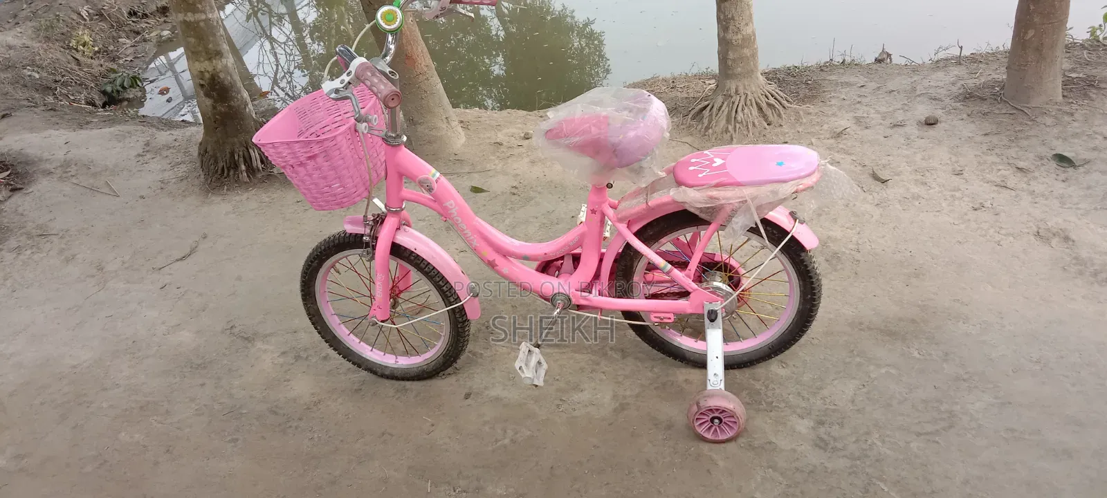 Phoenix Cycle