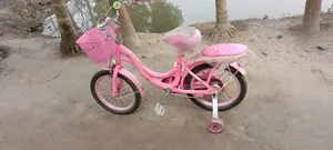 Phoenix Cycle