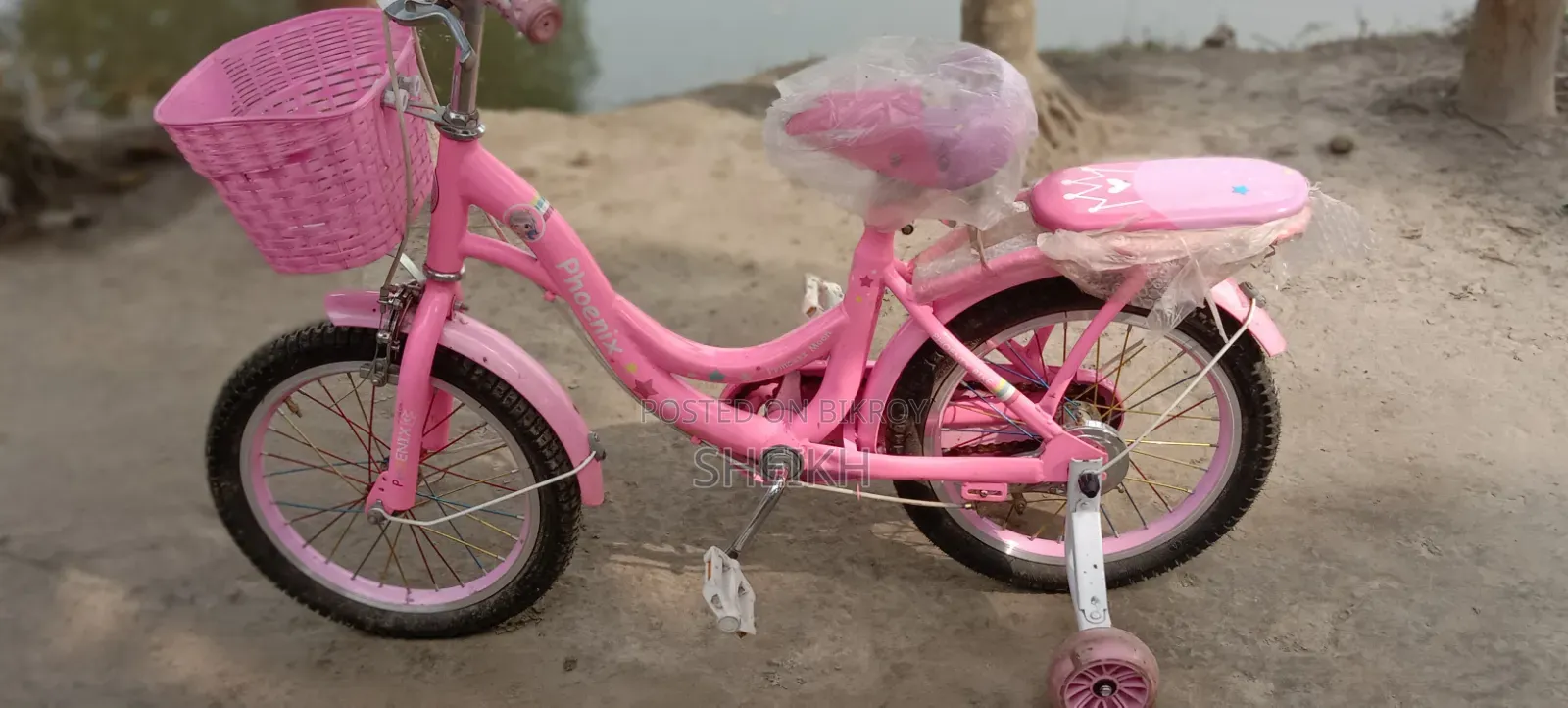 Phoenix Cycle