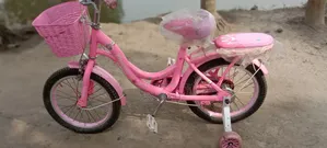 Phoenix Cycle