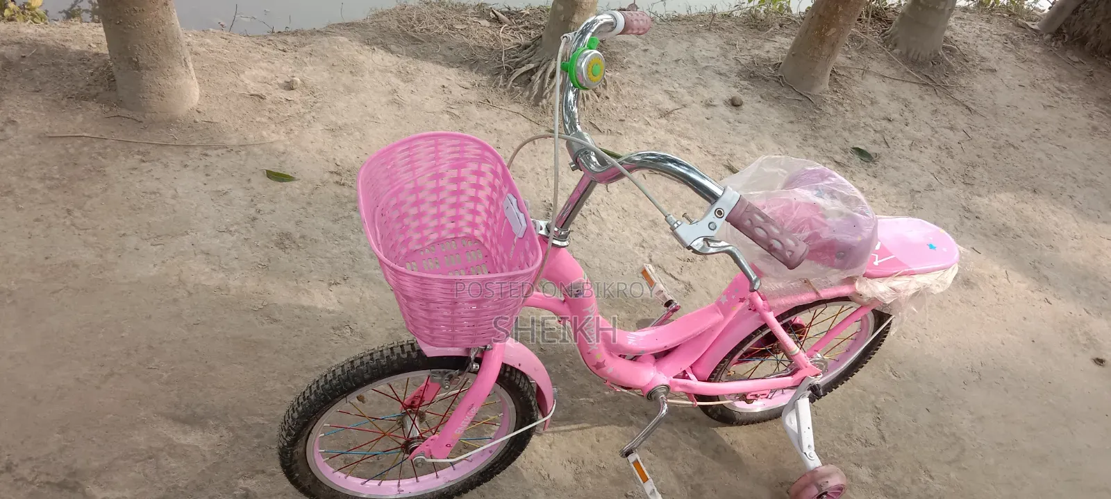 Phoenix Cycle