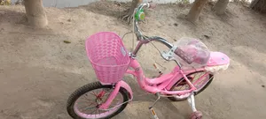 Phoenix Cycle