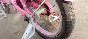 Phoenix Cycle