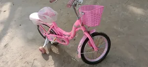 Phoenix Cycle