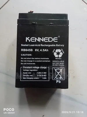 Old Battery