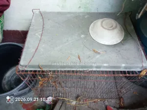 পাখির খাঁচা