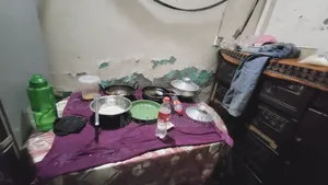 2 chairs come with the table Emergency Sell