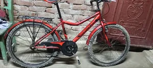 Red Color Bicycle