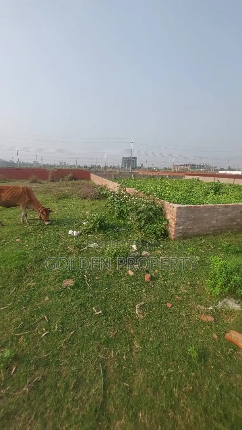 N Block 5 Katha Ready Plot Sale Bashundhara