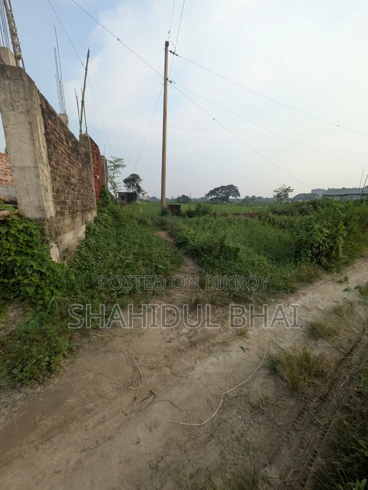 ৩৮ লক্ষ টাকা প্লট ১২ ফিট রোড