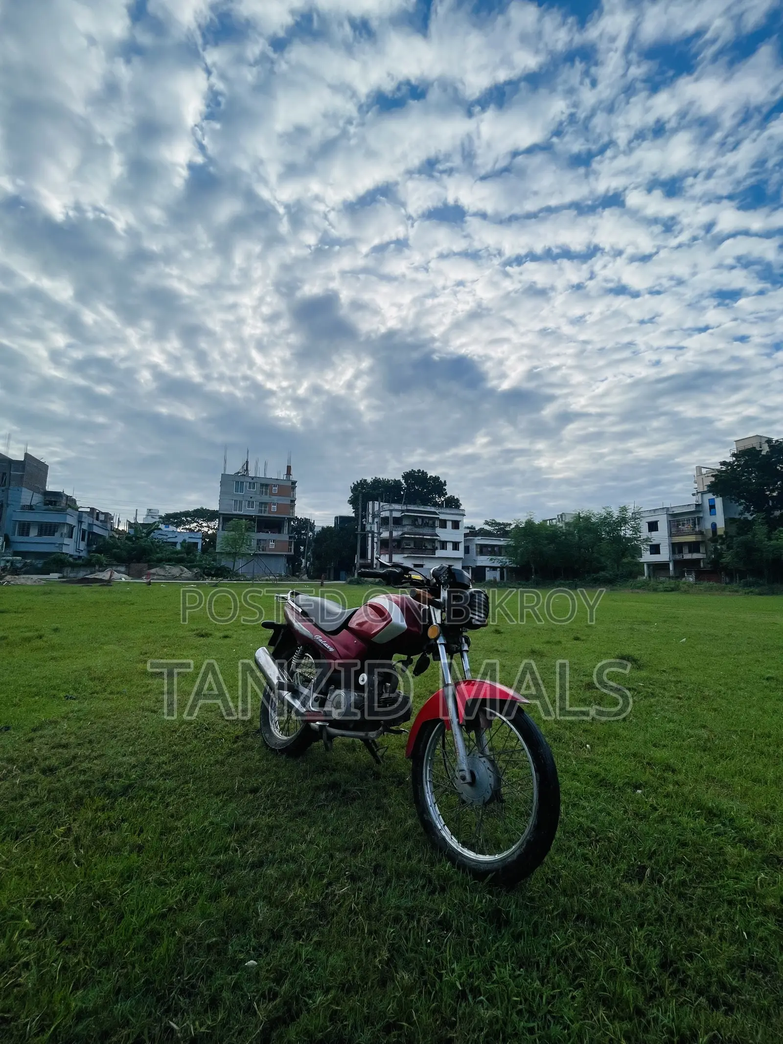 Runner AD 80S Alloy 2018 Red