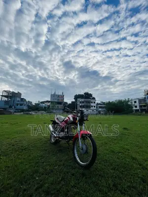 Runner AD 80S Alloy 2018 Red