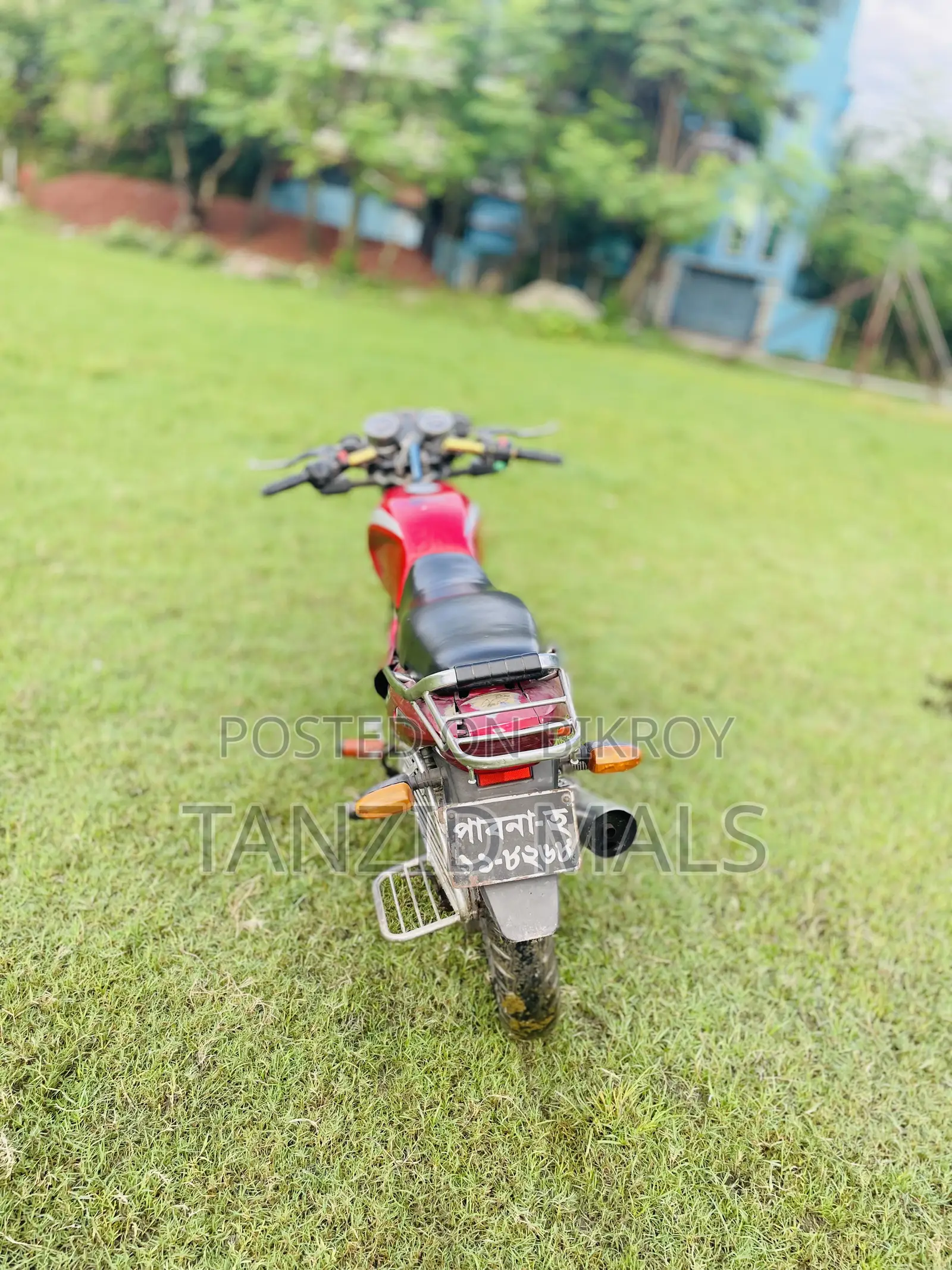 Runner AD 80S Alloy 2018 Red