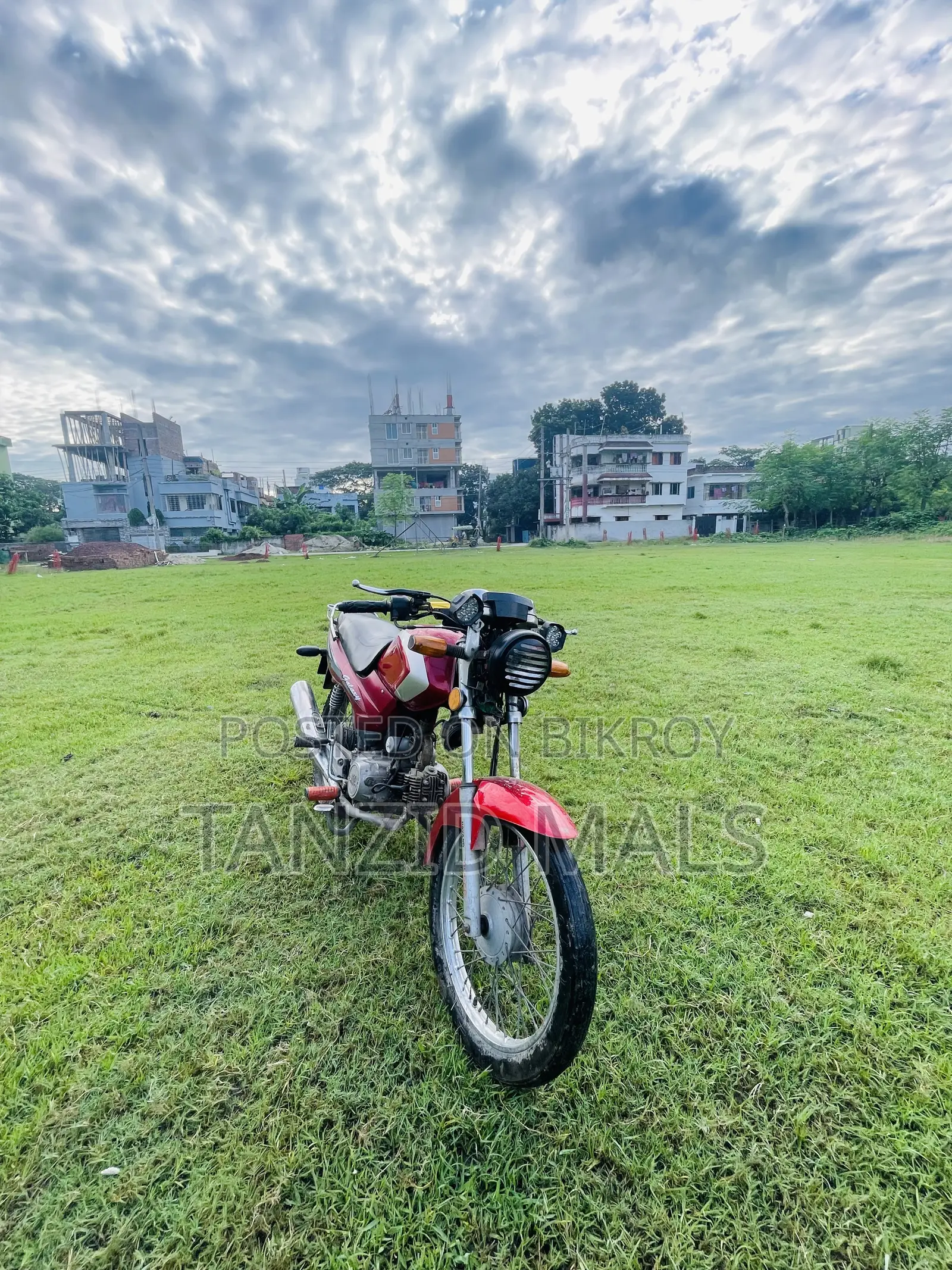 Runner AD 80S Alloy 2018 Red