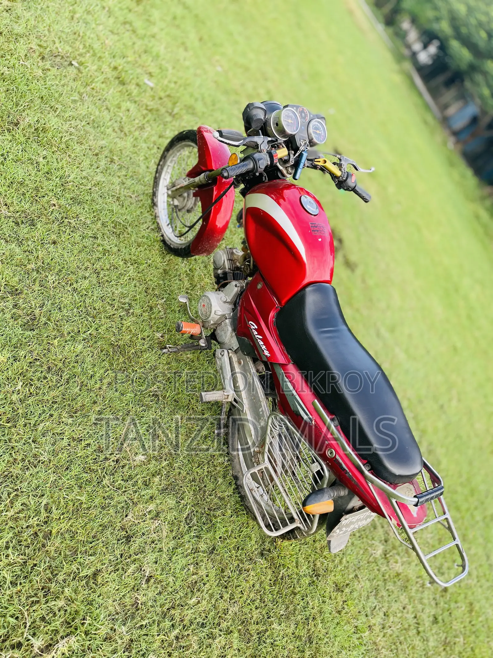 Runner AD 80S Alloy 2018 Red