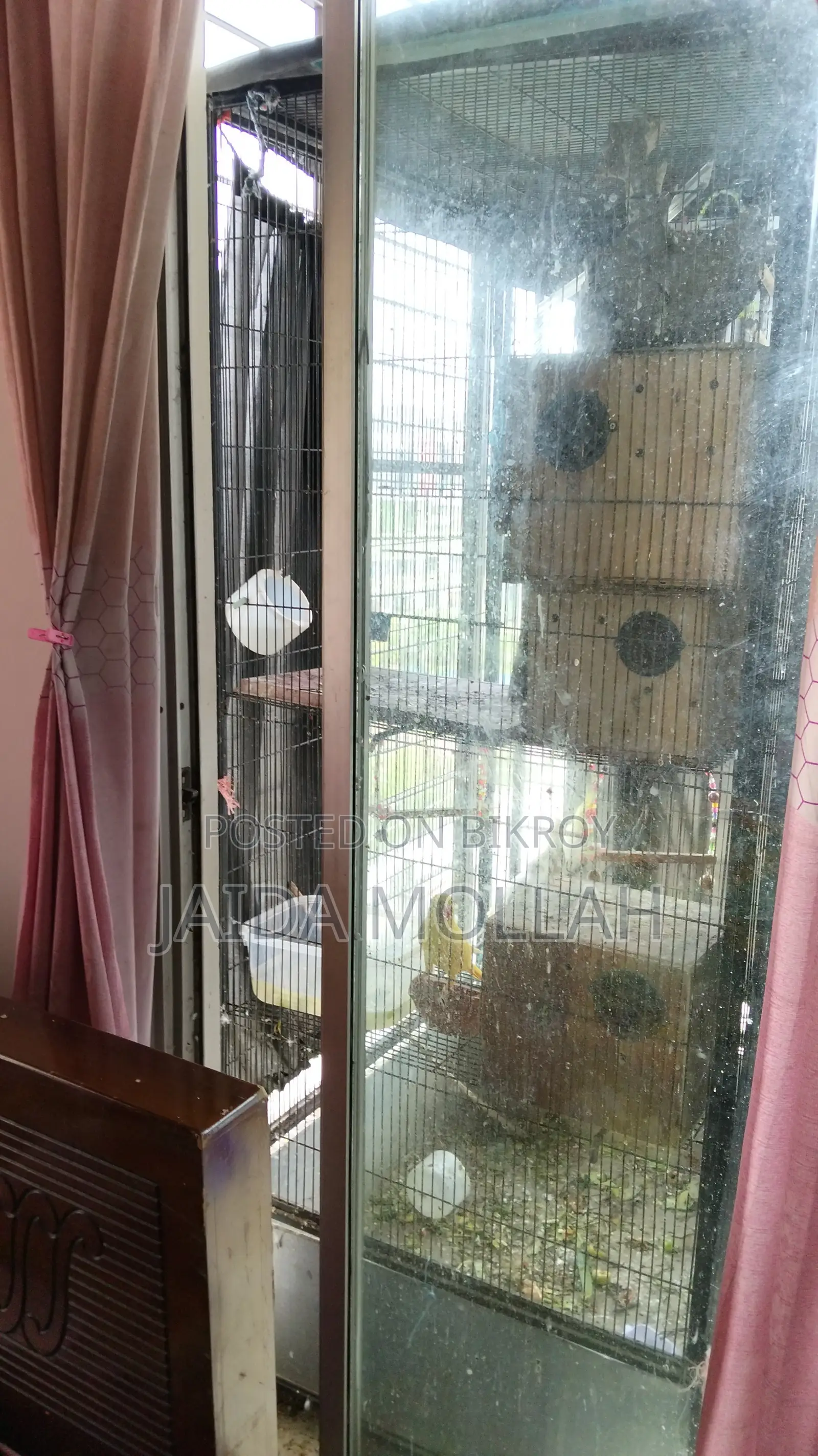 Old Bird Cage