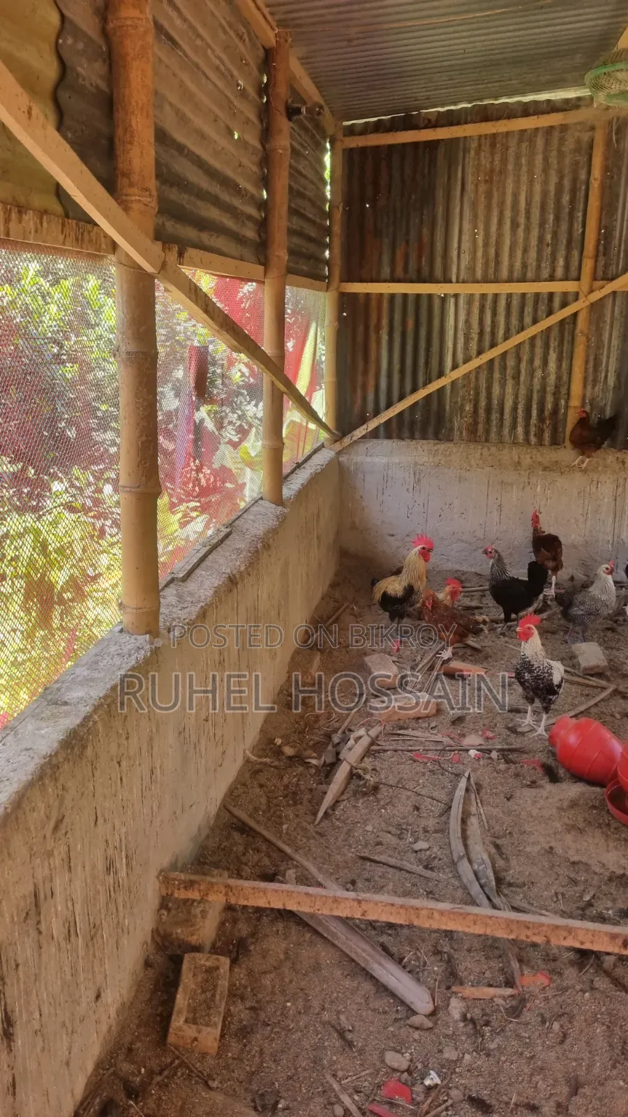 Desi Chicken