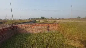 Photo - P Block 5 Katha Plot Sale Bashundhara