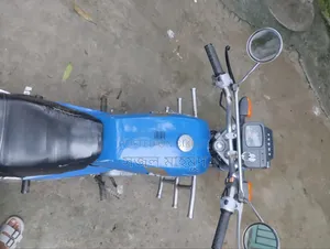 Suzuki Bike 1995 Blue