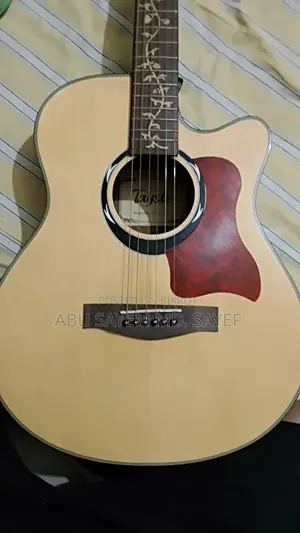Acoustic Guitar