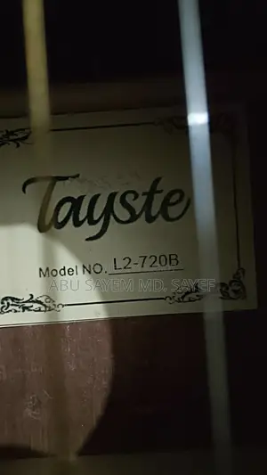 Acoustic Guitar