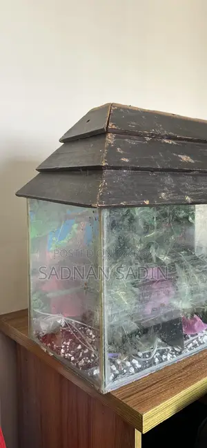 ফিশ অ্যাকোয়ারিয়াম
