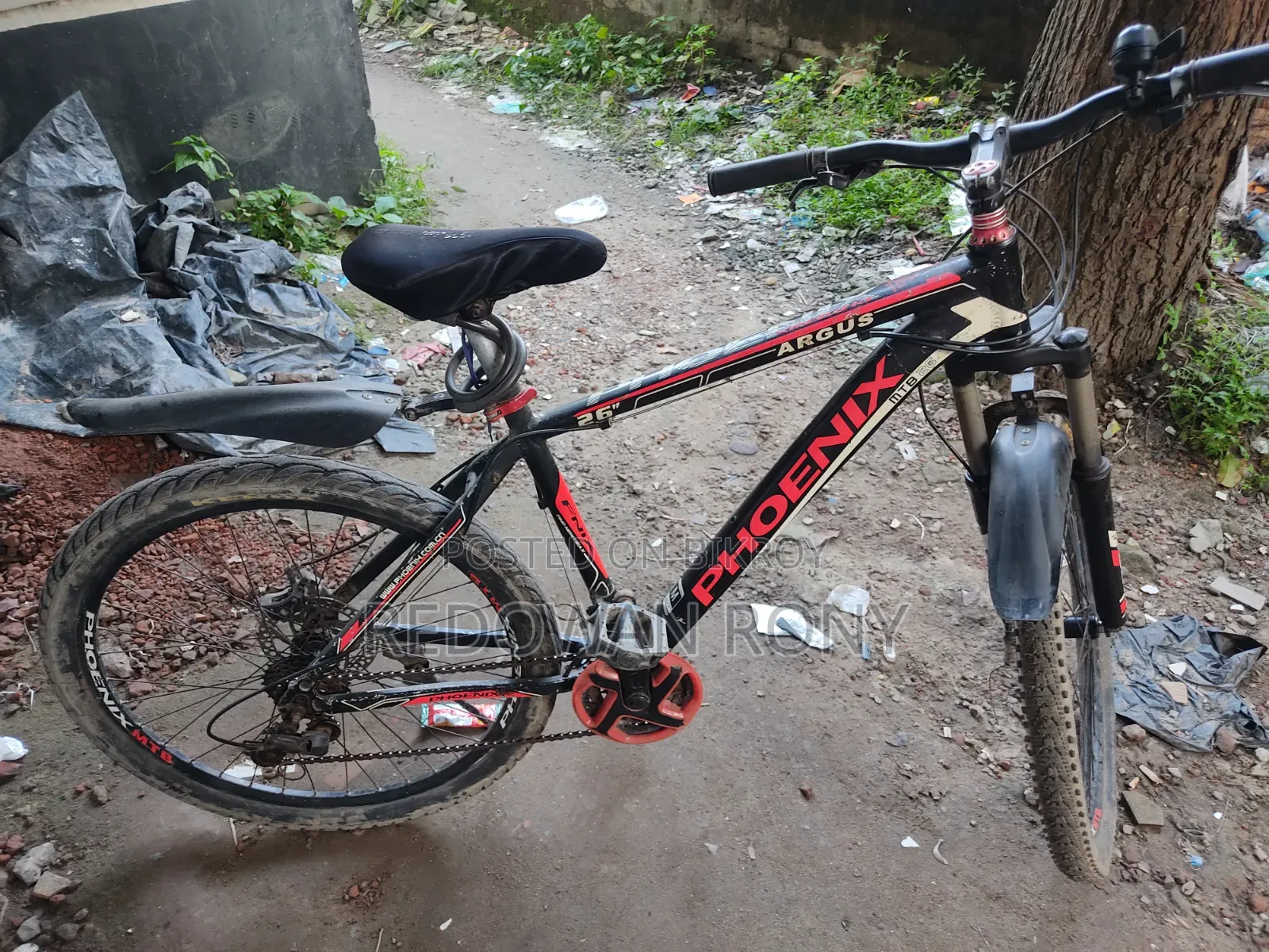 Phoenix Cycle