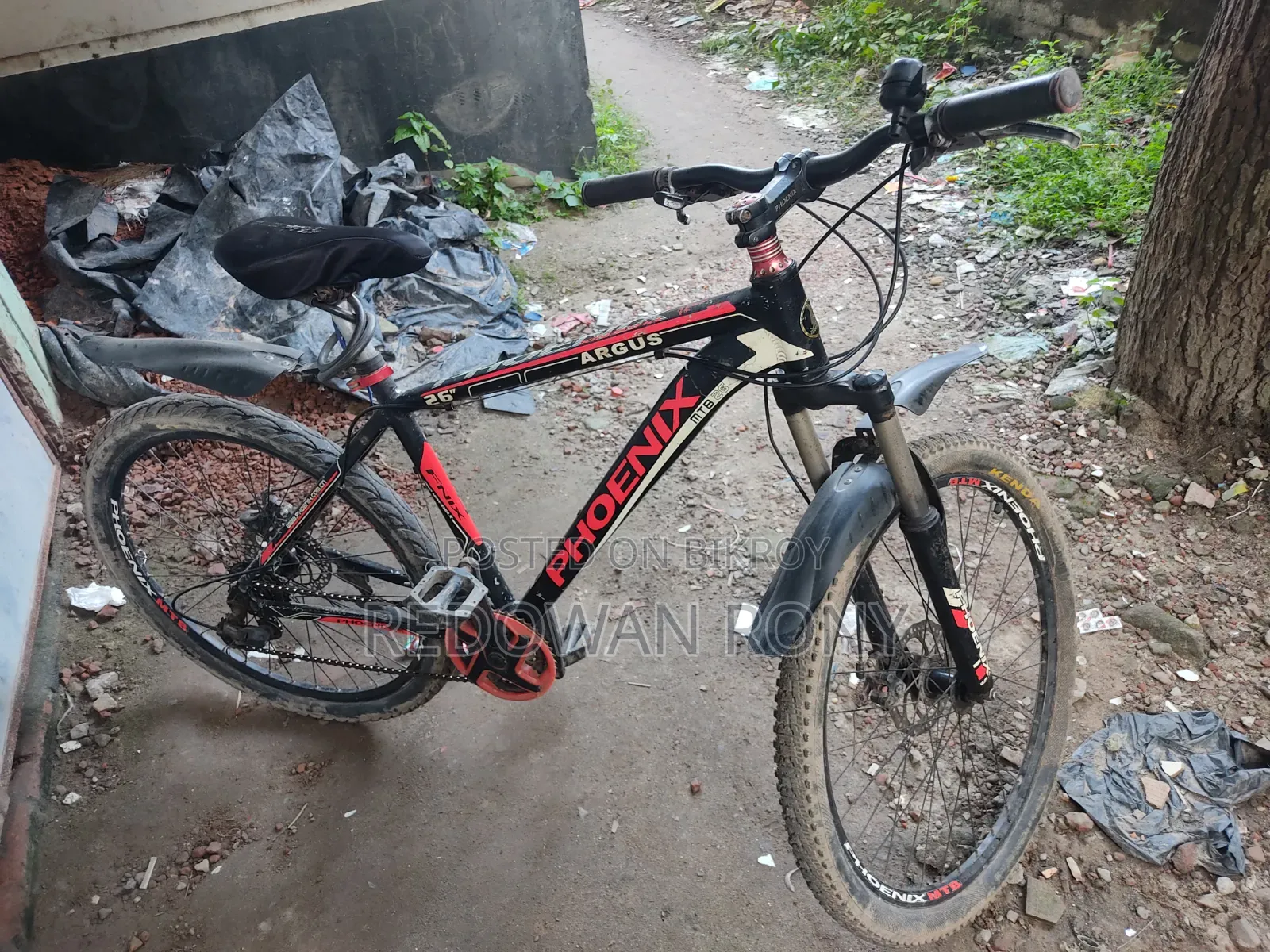 Phoenix Cycle