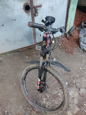 Phoenix Cycle