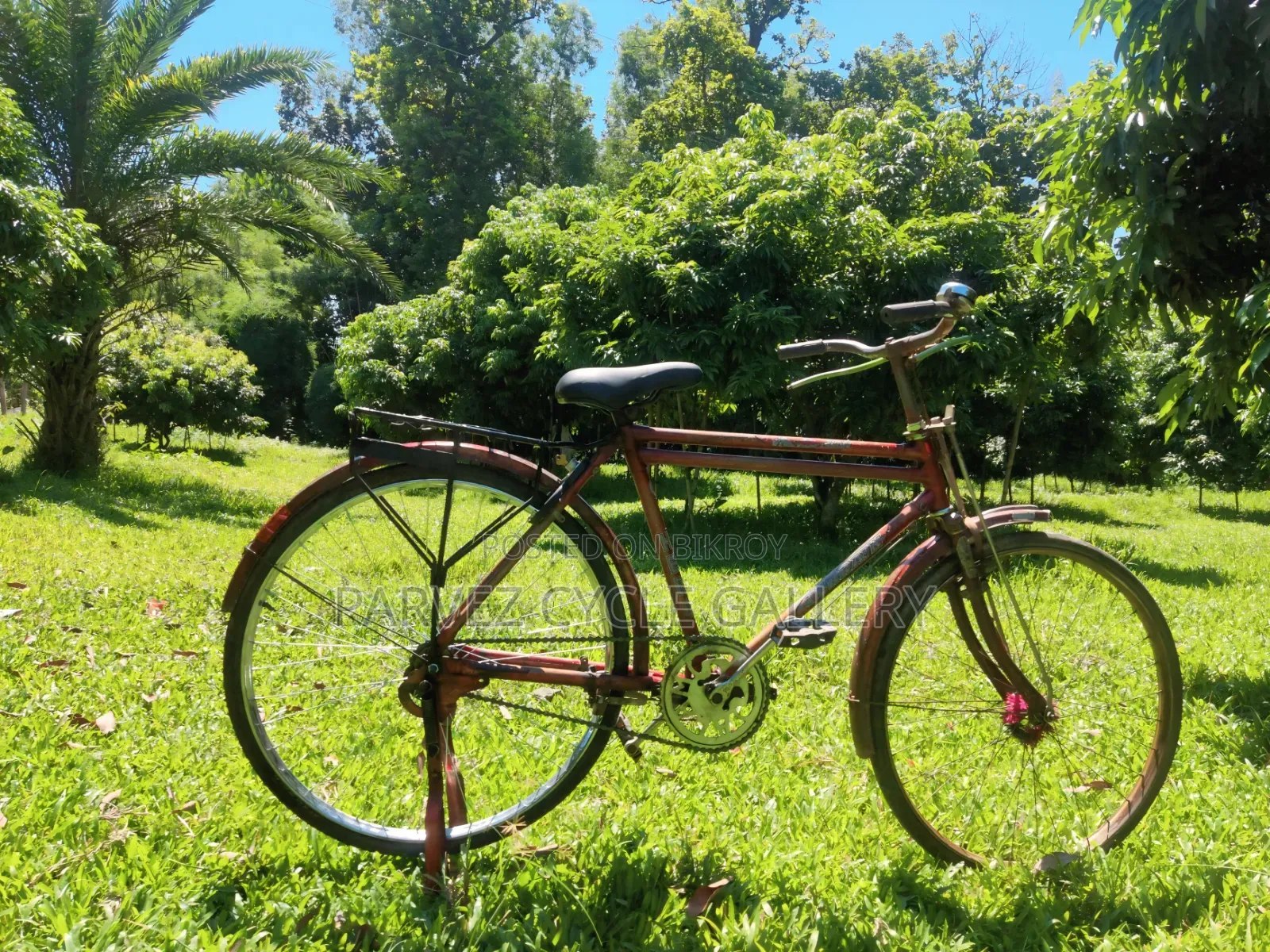Terrain 26-inch Bengali Full Serviced Cycle – Perfect for Office