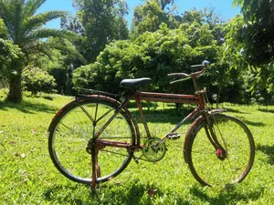 Terrain 26-inch Bengali Full Serviced Cycle – Perfect for Office