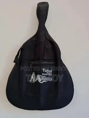 Acoustic Guitar