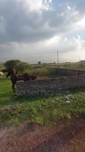 Photo - Bashundhara Plot Price N Block L Block M Block P Block P Ext